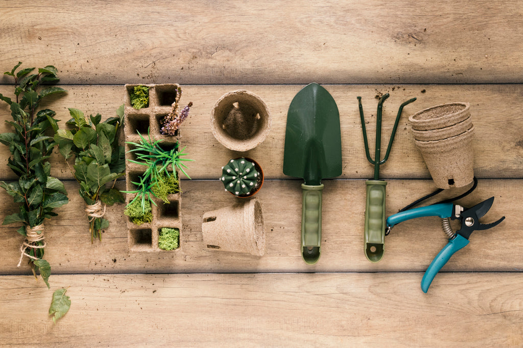 Indoor Herb Gardening