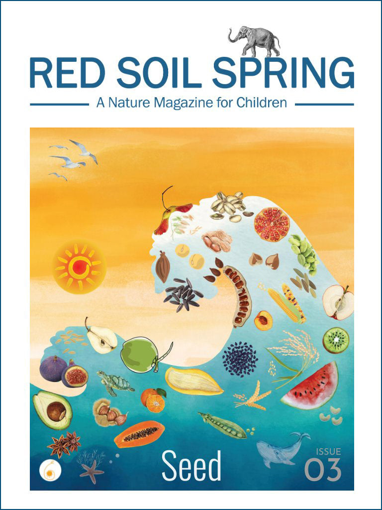 Red Soil Spring Magazine - Seed- Issue #3